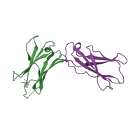 The deposited structure of PDB entry 3qb7 contains 4 copies of CATH domain 2.60.40.10 (Immunoglobulin-like) in Cytokine receptor common subunit gamma. Showing 2 copies in chain C.