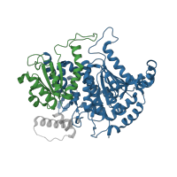 The deposited structure of PDB entry 3qki contains 6 copies of CATH domain 3.40.50.10490 (Rossmann fold) in Glucose-6-phosphate isomerase. Showing 2 copies in chain A.