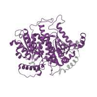 The deposited structure of PDB entry 3qki contains 3 copies of Pfam domain PF00342 (Phosphoglucose isomerase) in Glucose-6-phosphate isomerase. Showing 1 copy in chain A.