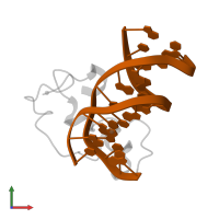 5'-D(*GP*CP*CP*AP*CP*CP*GP*GP*TP*GP*GP*C)-3' in PDB entry 3qmb, assembly 1, front view.