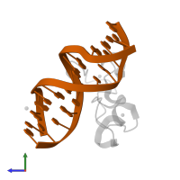 5'-D(*GP*CP*CP*AP*CP*CP*GP*GP*TP*GP*GP*C)-3' in PDB entry 3qmb, assembly 1, side view.