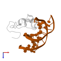 5'-D(*GP*CP*CP*AP*CP*CP*GP*GP*TP*GP*GP*C)-3' in PDB entry 3qmb, assembly 1, top view.