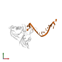 RNA (5'-R(*GP*UP*CP*CP*CP*CP*AP*CP*GP*CP*GP*UP*GP*UP*GP*GP*GP*GP*A)-3') in PDB entry 3qrq, assembly 1, front view.