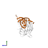 RNA (5'-R(*GP*UP*CP*CP*CP*CP*AP*CP*GP*CP*GP*UP*GP*UP*GP*GP*GP*GP*A)-3') in PDB entry 3qrq, assembly 1, side view.