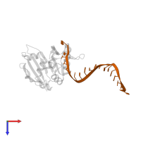 RNA (5'-R(*GP*UP*CP*CP*CP*CP*AP*CP*GP*CP*GP*UP*GP*UP*GP*GP*GP*GP*A)-3') in PDB entry 3qrq, assembly 1, top view.