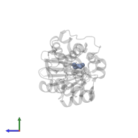 BETA-ALANINE in PDB entry 3qtt, assembly 2, side view.