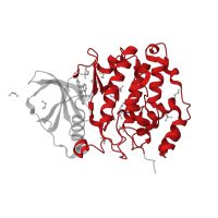The deposited structure of PDB entry 3r0t contains 1 copy of CATH domain 1.10.510.10 (Transferase(Phosphotransferase); domain 1) in Casein kinase II subunit alpha. Showing 1 copy in chain A.