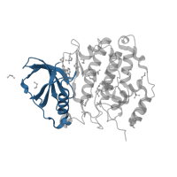 The deposited structure of PDB entry 3r0t contains 1 copy of CATH domain 3.30.200.20 (Phosphorylase Kinase; domain 1) in Casein kinase II subunit alpha. Showing 1 copy in chain A.