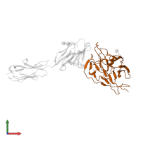 Spike glycoprotein in PDB entry 3r4d, assembly 1, front view.