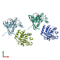 PDB entry 3ran coloured by chain, front view.