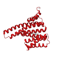 The deposited structure of PDB entry 3rdh contains 4 copies of CATH domain 1.20.190.20 (Delta-Endotoxin; domain 1) in 14-3-3 protein zeta/delta. Showing 1 copy in chain A.