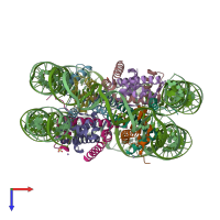 PDB entry 3rel coloured by chain, top view.