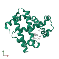 Myoglobin in PDB entry 3rgk, assembly 1, front view.