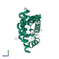 Myoglobin in PDB entry 3rgk, assembly 1, side view.