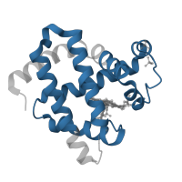 The deposited structure of PDB entry 3rjn contains 1 copy of Pfam domain PF00042 (Globin) in Myoglobin. Showing 1 copy in chain A [auth B].