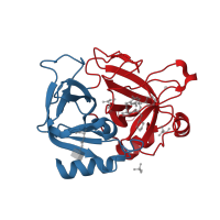 The deposited structure of PDB entry 3rmo contains 2 copies of CATH domain 2.40.10.10 (Thrombin, subunit H) in Thrombin heavy chain. Showing 2 copies in chain B [auth H].