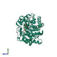 PDB entry 3rnd coloured by chain, side view.