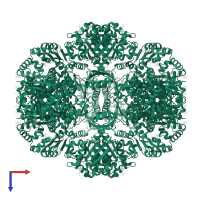 Bifunctional NAD(P)H-hydrate repair enzyme Nnr in PDB entry 3rt9, assembly 1, top view.