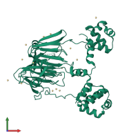 PDB entry 3rzz coloured by chain, front view.