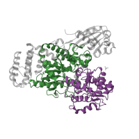 The deposited structure of PDB entry 3s29 contains 16 copies of CATH domain 3.40.50.2000 (Rossmann fold) in Sucrose synthase 1. Showing 2 copies in chain H.