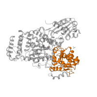 The deposited structure of PDB entry 3s29 contains 8 copies of Pfam domain PF00534 (Glycosyl transferases group 1) in Sucrose synthase 1. Showing 1 copy in chain H.