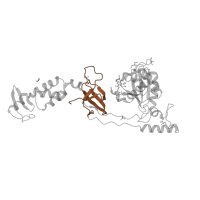 The deposited structure of PDB entry 3s3n contains 2 copies of Pfam domain PF18103 (Retroviral integrase C-terminal SH3 domain) in Integrase. Showing 1 copy in chain A.