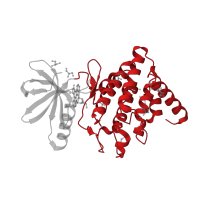 The deposited structure of PDB entry 3s95 contains 2 copies of CATH domain 1.10.510.10 (Transferase(Phosphotransferase); domain 1) in LIM domain kinase 1. Showing 1 copy in chain A.