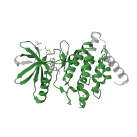 The deposited structure of PDB entry 3s95 contains 2 copies of Pfam domain PF07714 (Protein tyrosine and serine/threonine kinase) in LIM domain kinase 1. Showing 1 copy in chain A.