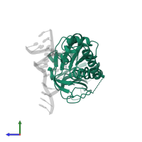 Formamidopyrimidine-DNA glycosylase in PDB entry 3saw, assembly 1, side view.