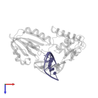 5'-D(*TP*GP*CP*GP*TP*C*CP*TP*TP*GP*TP*(CX2)P*TP*AP*CP*C)-3' in PDB entry 3saw, assembly 1, top view.