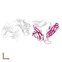 NKT TCR autoreactive-Vbeta11 chain in PDB entry 3sdx, assembly 1, front view.