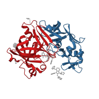 The deposited structure of PDB entry 3sfc contains 4 copies of CATH domain 2.40.70.10 (Cathepsin D, subunit A; domain 1) in Renin. Showing 2 copies in chain A.