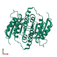 Putative ribose 5-phosphate isomerase in PDB entry 3sgw, assembly 1, front view.