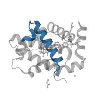 The deposited structure of PDB entry 3sp7 contains 1 copy of Pfam domain PF02180 (Bcl-2 homology region 4) in Bcl-2-like protein 1. Showing 1 copy in chain A.