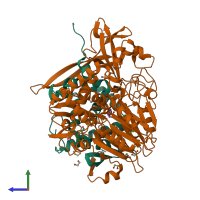 PDB entry 3sra coloured by chain, side view.