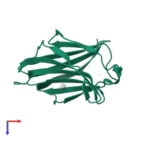 Galectin-3 in PDB entry 3t1l, assembly 1, top view.