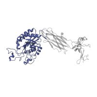 The deposited structure of PDB entry 3t3p contains 2 copies of CATH domain 3.40.50.410 (Rossmann fold) in Integrin beta-3. Showing 1 copy in chain D.