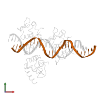 Dna Molecule 3 In Pdb Entry 3t72 Protein Data Bank In Europe Pdbe Embl Ebi