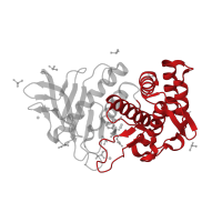 The deposited structure of PDB entry 3t8g contains 1 copy of CATH domain 1.10.390.10 (Neutral Protease; domain 2) in Thermolysin. Showing 1 copy in chain A.