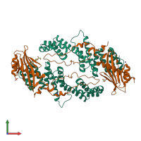 Hetero tetrameric assembly 3 of PDB entry 3tgo coloured by chemically distinct molecules, front view.