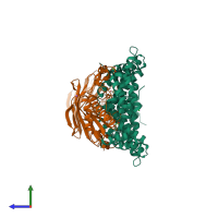 Hetero tetrameric assembly 3 of PDB entry 3tgo coloured by chemically distinct molecules, side view.