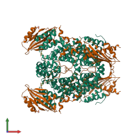 Hetero octameric assembly 4 of PDB entry 3tgo coloured by chemically distinct molecules, front view.