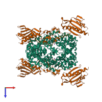 Hetero octameric assembly 4 of PDB entry 3tgo coloured by chemically distinct molecules, top view.