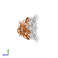 Outer membrane protein assembly factor BamC in PDB entry 3tgo, assembly 3, side view.