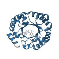 The deposited structure of PDB entry 3thq contains 2 copies of Pfam domain PF00215 (Orotidine 5'-phosphate decarboxylase / HUMPS family) in Orotidine 5'-phosphate decarboxylase. Showing 1 copy in chain A.