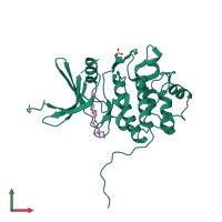 Monomeric assembly 1 of PDB entry 3tkh coloured by chemically distinct molecules, front view.