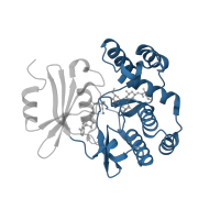 The deposited structure of PDB entry 3tm0 contains 1 copy of CATH domain 3.90.1200.10 (Aminoglycoside 3'-phosphotransferase; Chain: A, domain 2) in Aminoglycoside 3'-phosphotransferase. Showing 1 copy in chain A.