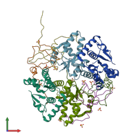 PDB entry 3tnd coloured by chain, front view.