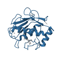 The deposited structure of PDB entry 3tt4 contains 1 copy of Pfam domain PF00413 (Matrixin) in Neutrophil collagenase. Showing 1 copy in chain A.