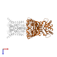 Methionine import ATP-binding protein MetN in PDB entry 3tuz, assembly 1, top view.